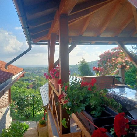 Apartment Noletov Vidikovac Vrdnik Bagian luar foto