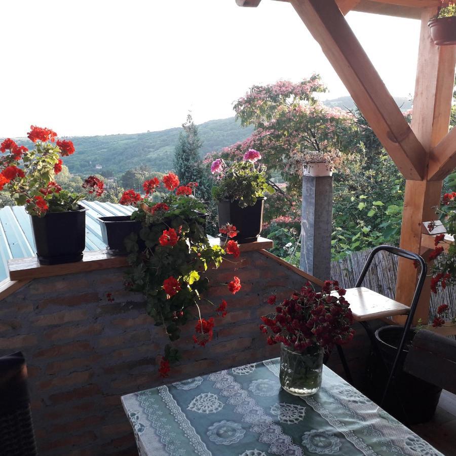 Apartment Noletov Vidikovac Vrdnik Bagian luar foto