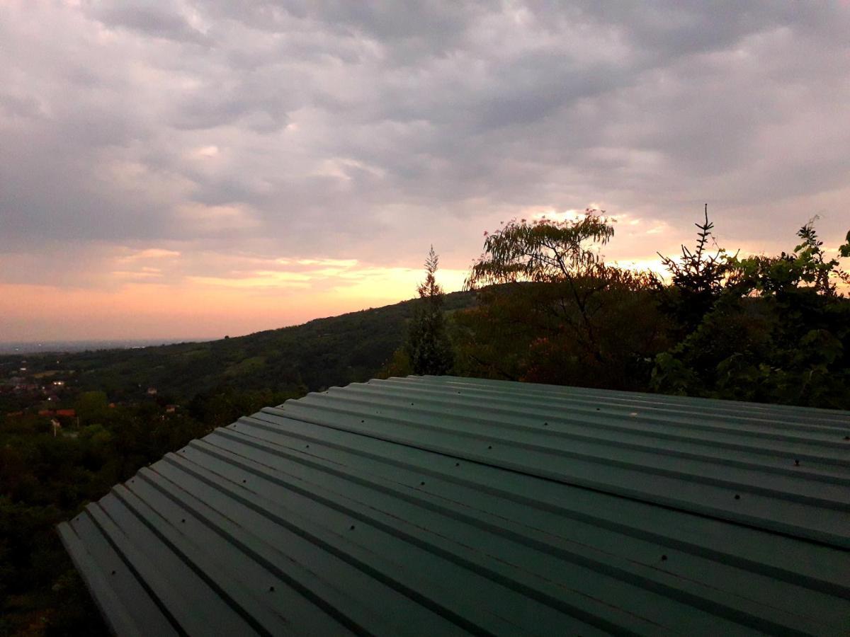 Apartment Noletov Vidikovac Vrdnik Bagian luar foto