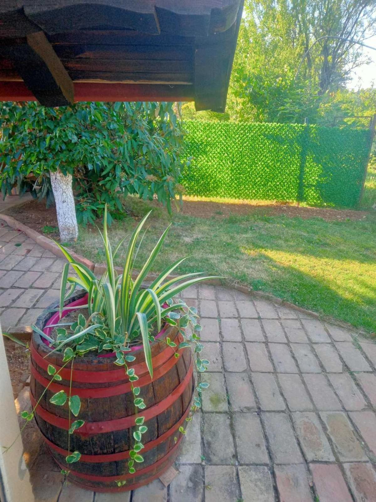 Apartment Noletov Vidikovac Vrdnik Bagian luar foto