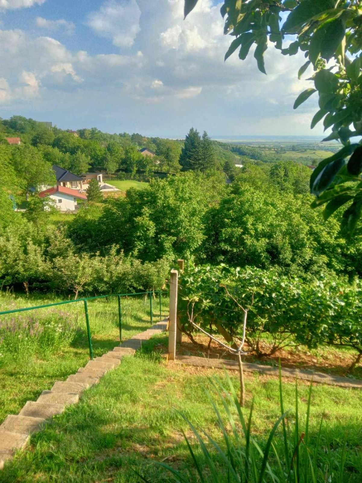 Apartment Noletov Vidikovac Vrdnik Bagian luar foto