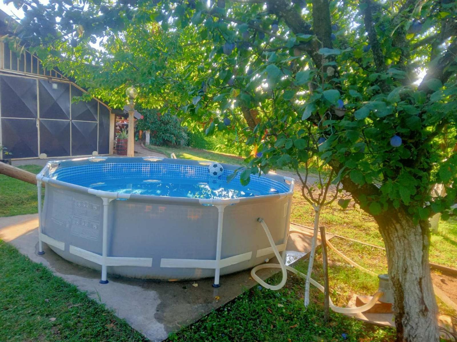 Apartment Noletov Vidikovac Vrdnik Bagian luar foto