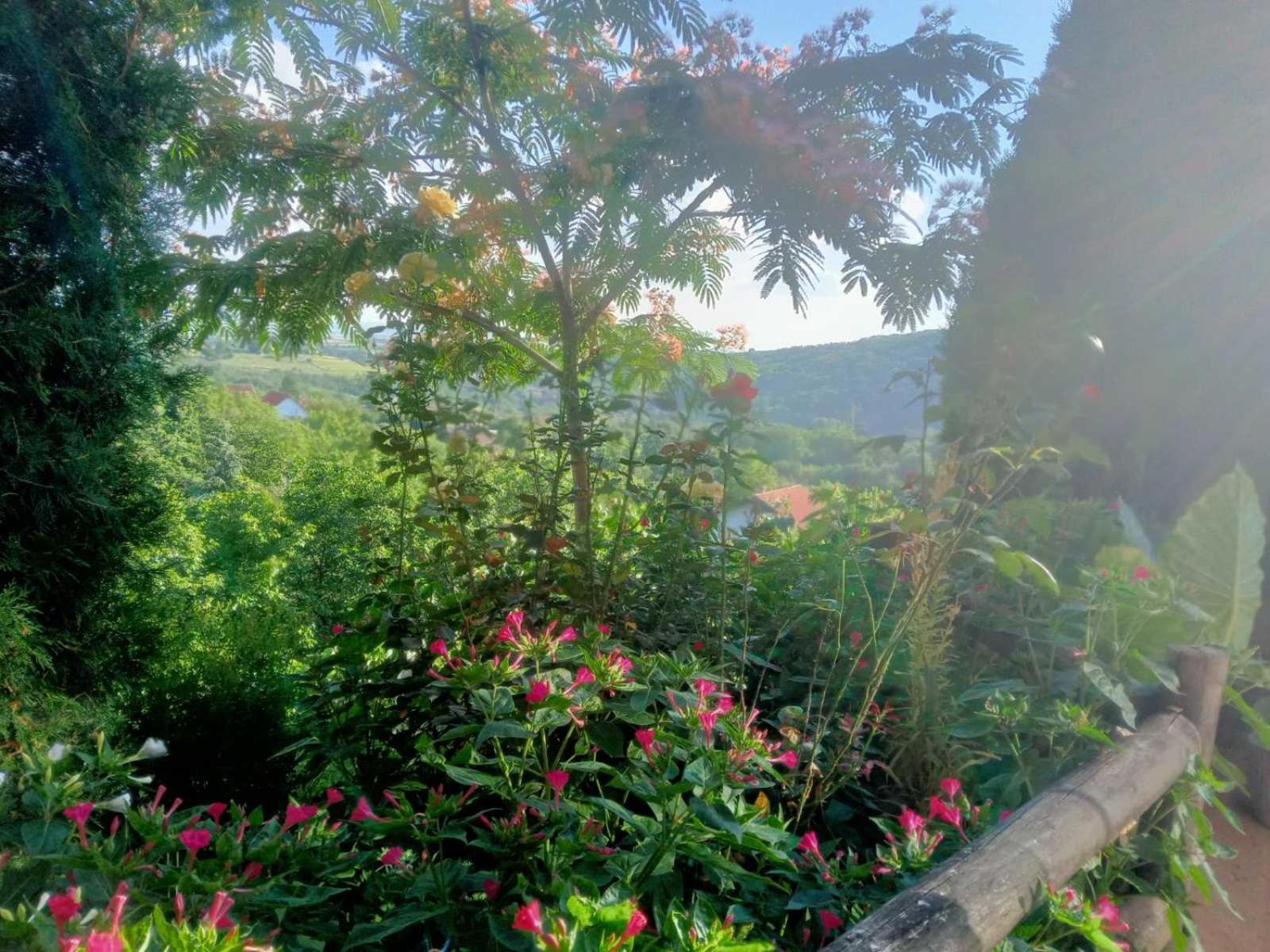 Apartment Noletov Vidikovac Vrdnik Bagian luar foto