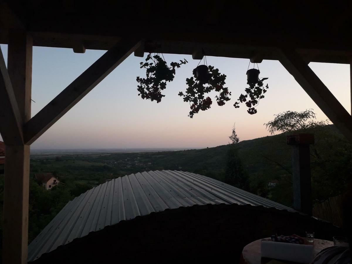 Apartment Noletov Vidikovac Vrdnik Bagian luar foto