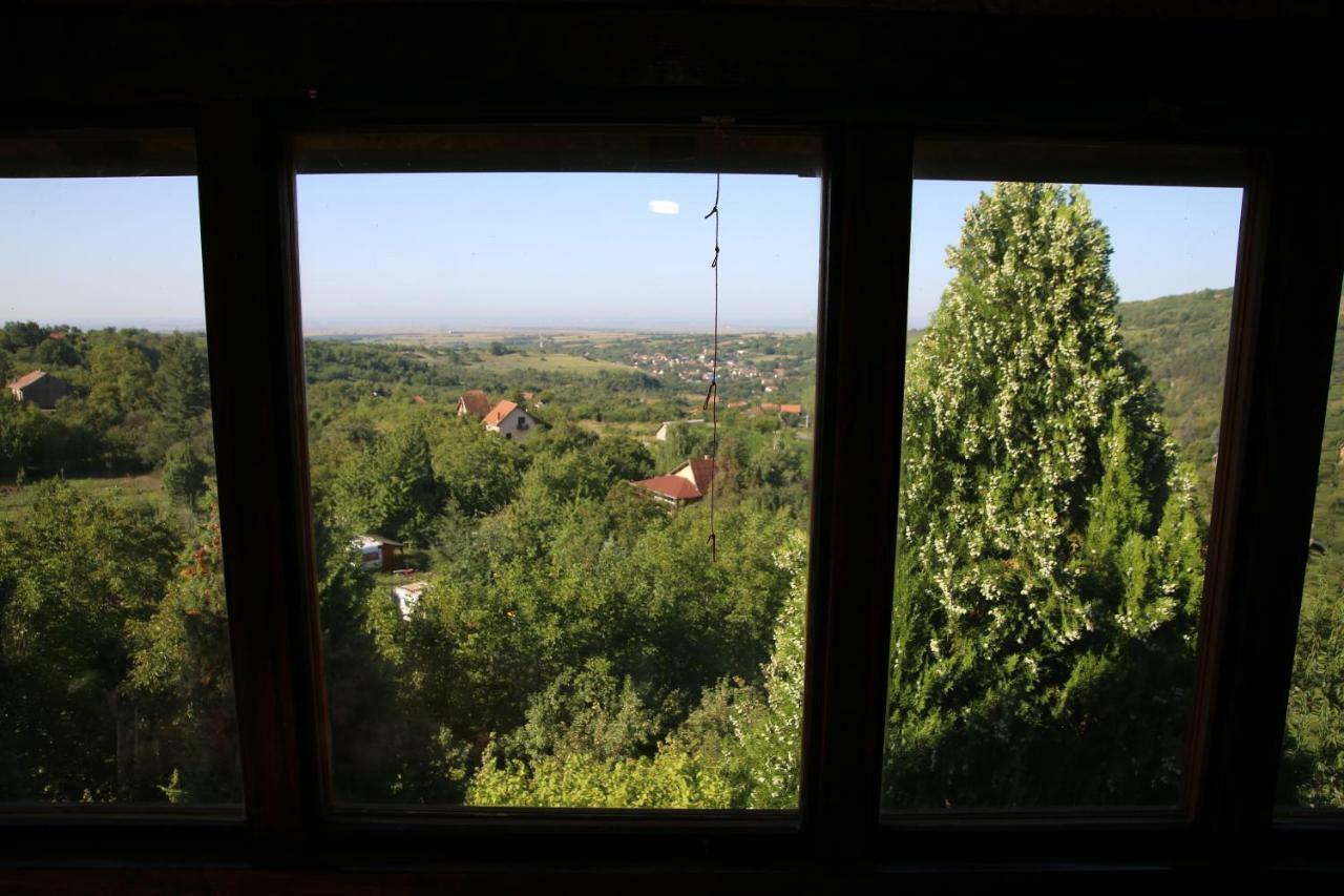 Apartment Noletov Vidikovac Vrdnik Bagian luar foto