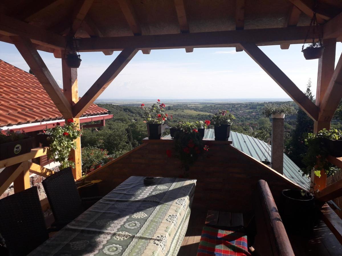 Apartment Noletov Vidikovac Vrdnik Bagian luar foto